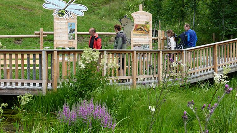 Von-Alm-zu-Alm-c-Nationalpark-Kalkalpen-Mayr.jpg © Nationalpark-Kalkalpen-Mayr Von Alm zu Alm