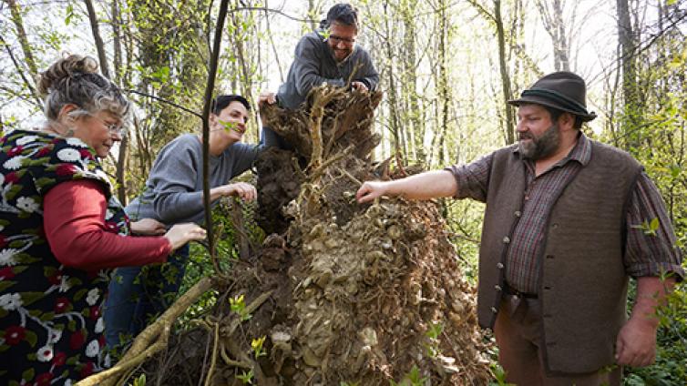 waldbaeume-c-Stockinger.jpg © Stockinger waldbaeume