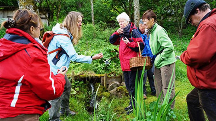 Waldkräuter_Quelle fürs leibliche Wohl-c-NUPAT.jpg © NUPAT Waldkräuter Quelle fürs leibliche Wohl