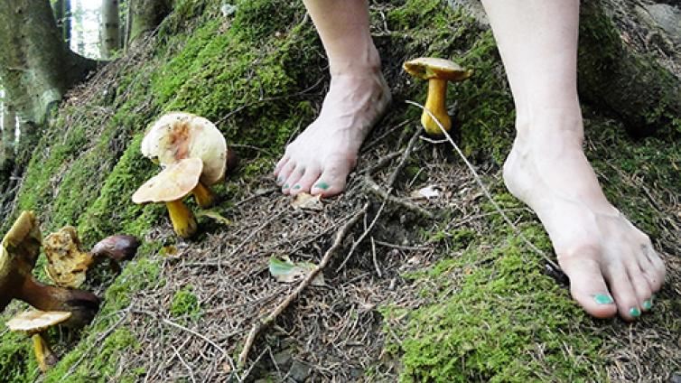 waldspaziergang-c-Bichler.jpg © Bichler waldspaziergang