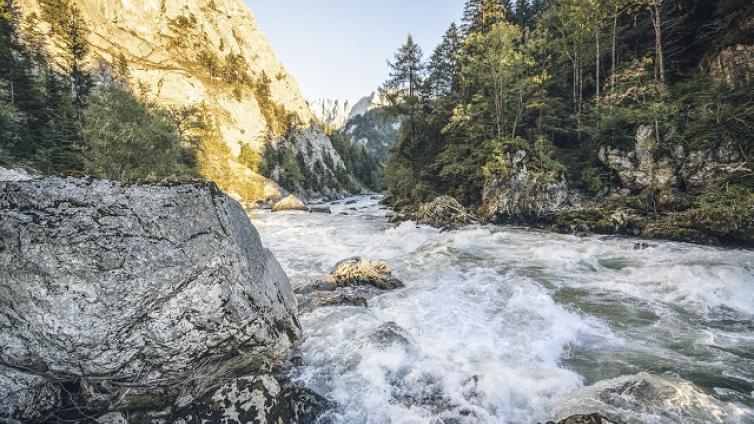 Wildes-Wasser-Steiler-Fels-c-Nationalpark-Gesäuse-AndreasResch.jpg © Nationalpark-Gesäuse-AndreasResch Wildes Wasser Steiler Fels