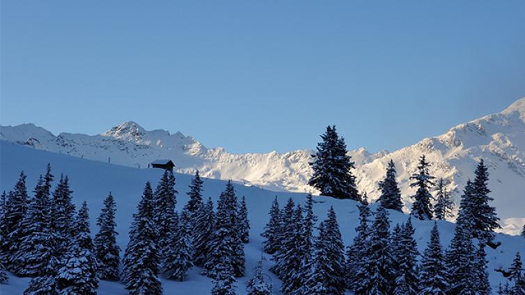 Wintererlebnis Hollersbachtal