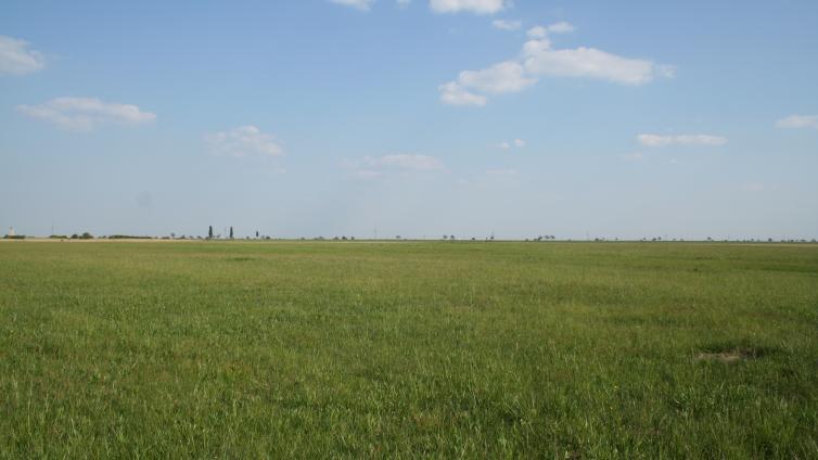 Zitzmannsdorfer Wiesen5-c-NPNSsee.jpg © NPNSsee Zitzmannsdorfer Wiesen5