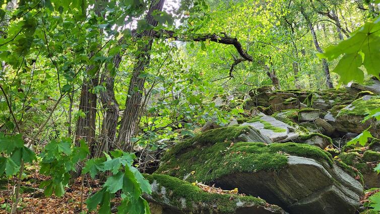 Über den Schmugglerweg von Frain nach Hardegg