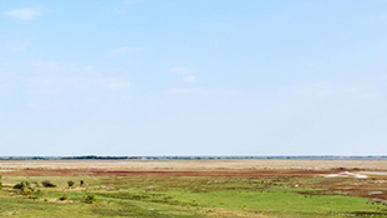 Steppe soweit das Auge reicht: Hutweideflächen im Seewinkel