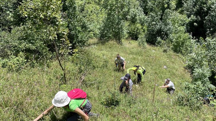 International Workcamp in zwei Nationalparks © Siehe Veranstalter International Workcamp in zwei Nationalparks
