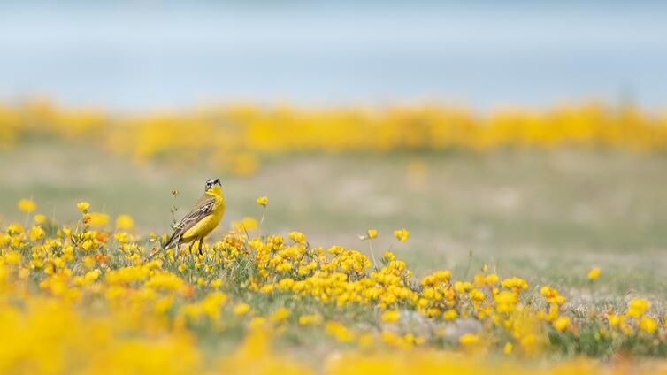 Sommer im Nationalpark