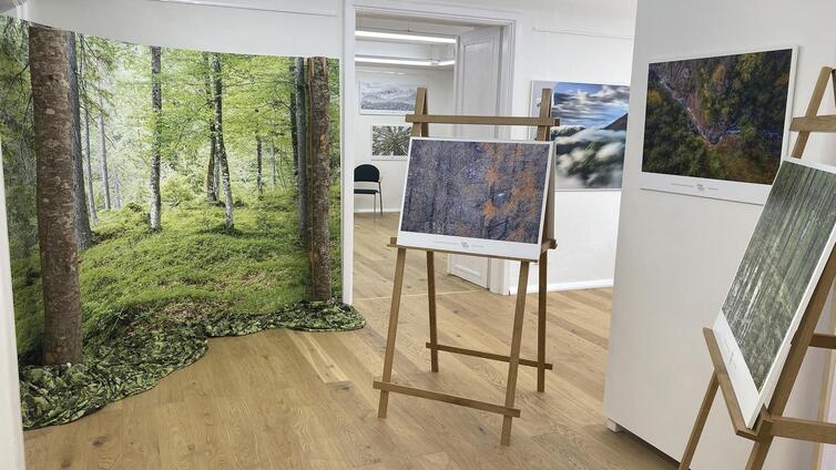 Vernissage mit Philipp Jakesch: Spuren der Wildnis -  Ein Fragiles Gleichgewicht