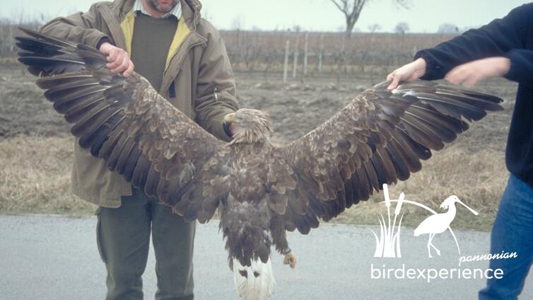 Wildtierkriminalität - Aktuelle Entwicklungen und Trends