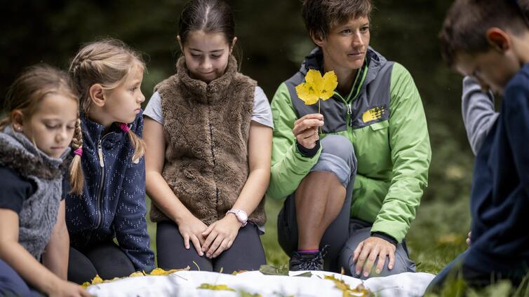 Wildschweinschnitzeljagd