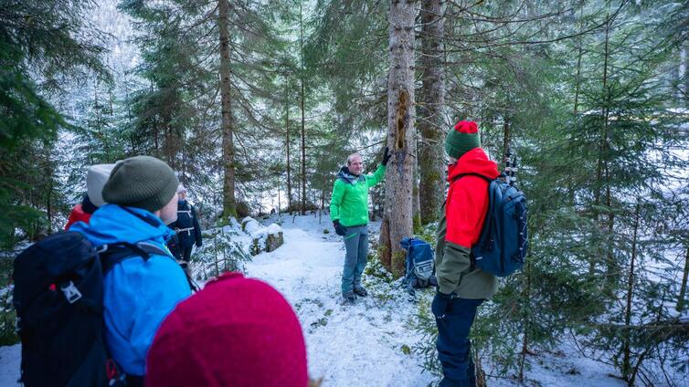 Wintererlebnis Hollersbachtal