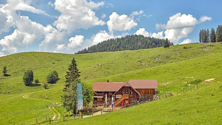 Musik trifft Wildnis: Luchs Trail Konzert auf der Anlaufalm