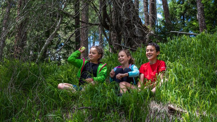 Waldwildnis-Camps – Oberhauser Zirbenwald