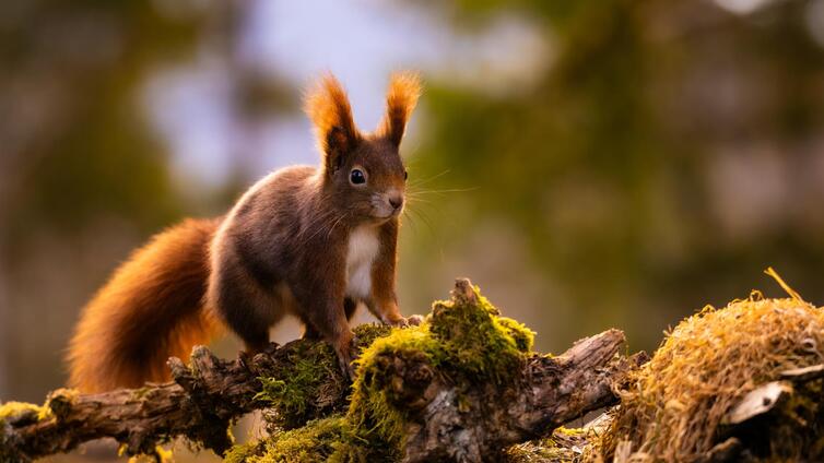Fotowalk"Naturschätze des Seebachtals"