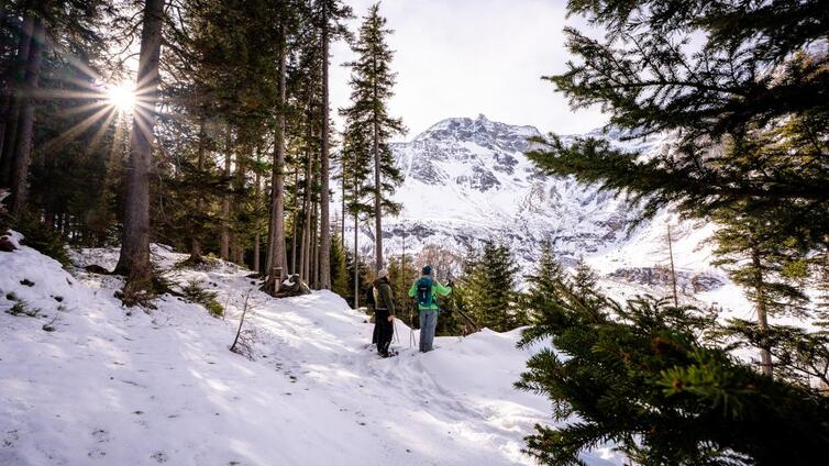 Winterlicher Urwald, Rauris