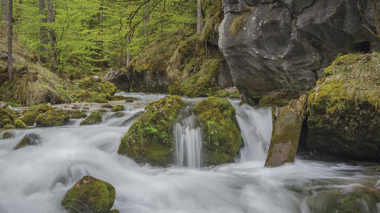 Wildes Wasser - Steiler Fels © Siehe Veranstalter Wildes Wasser - Steiler Fels