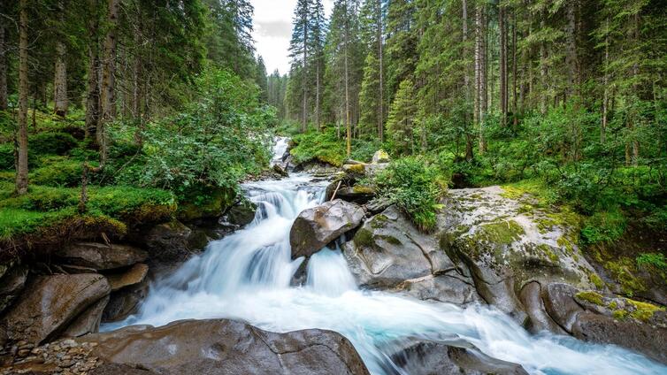 In das Wildgerlostal