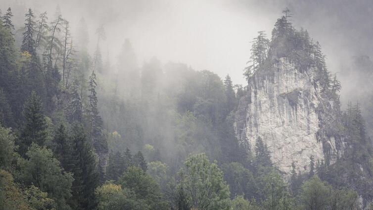 Fotokurs - Herbstbeginn im Nationalpark Gesäuse