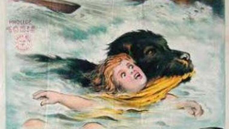 Kino beim Weidendom: Die Wasserteufel von Hieflau