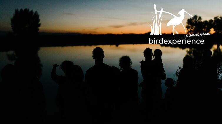 Fledermäuse - Nächtliche Insektenjäger - AUSGEBUCHT