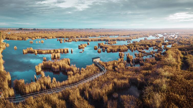 Wildnis voller Leben: der Schilfgürtel des Neusiedler Sees