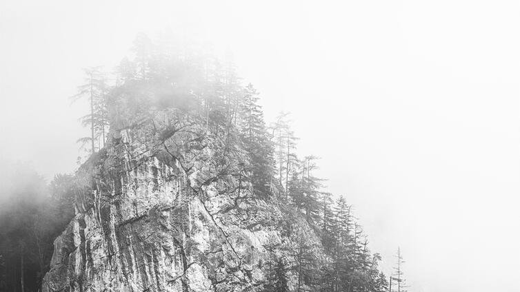Fotokurs - FORMS OF XEIS - Herbst