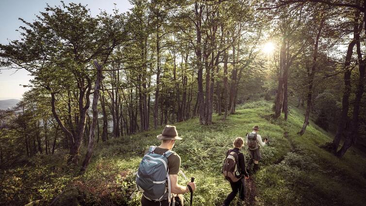 UNESCO-Welterbe Tour: Durchs Hintergebirge