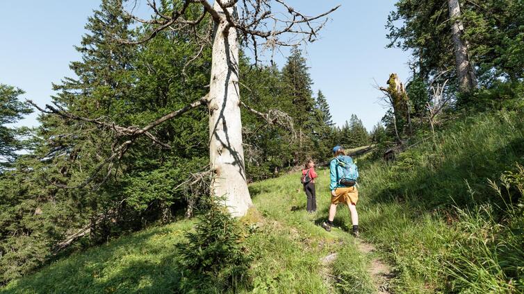 Wildniswandern für Frauen (2 Tage) © Siehe Veranstalter Wildniswandern für Frauen (2 Tage)
