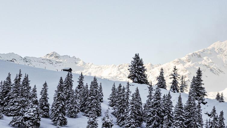 Wintererlebnis Hollersbachtal