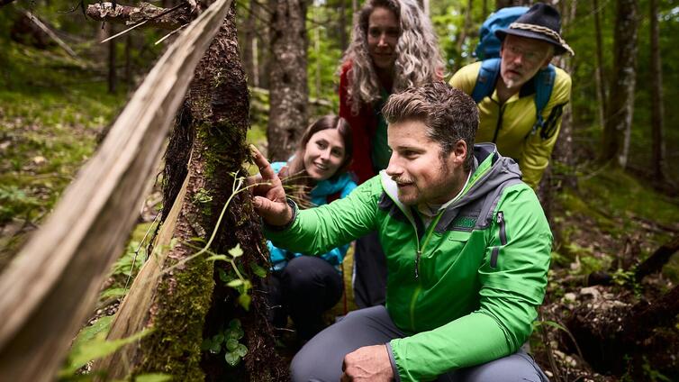 Buch dir deinen Guide - Privat-Tour im Nationalpark Gesäuse
