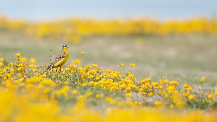 Der Sommer im Nationalpark