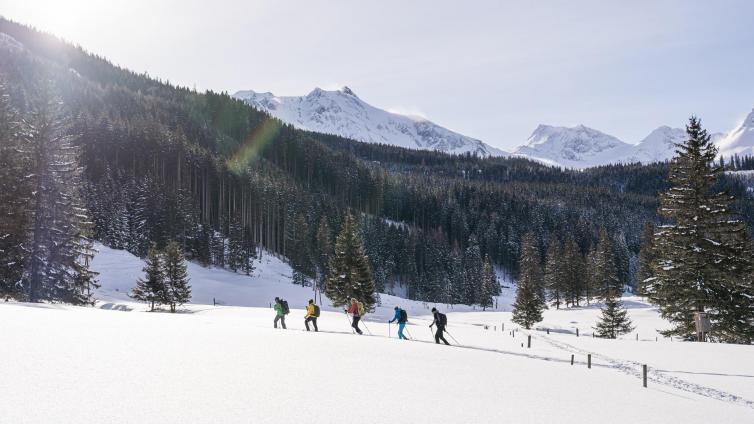 Winterlicher Urwald, Rauris