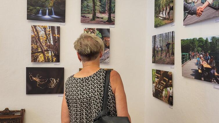 Ausstellung 'Künstler sehen den Nationalpark'