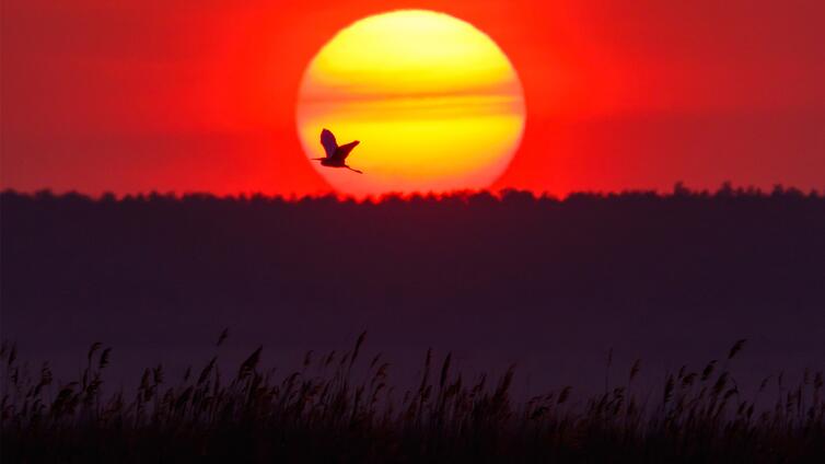 Wenn es Abend wird im Nationalpark