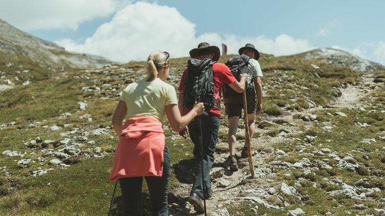 Straßkopf und Almbrunch auf der Winklerner Hütte
