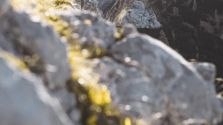 Alpin-Fotokurs auf der Hesshütte © Siehe Veranstalter Alpin-Fotokurs auf der Hesshütte