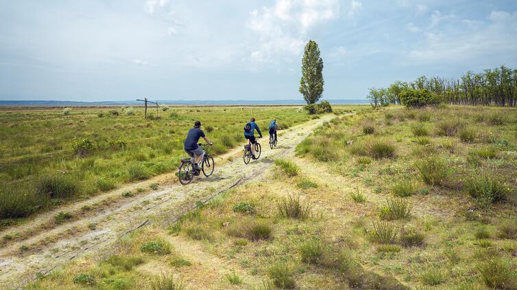 Der Nationalpark zum Kennenlernen - Fahrradtour