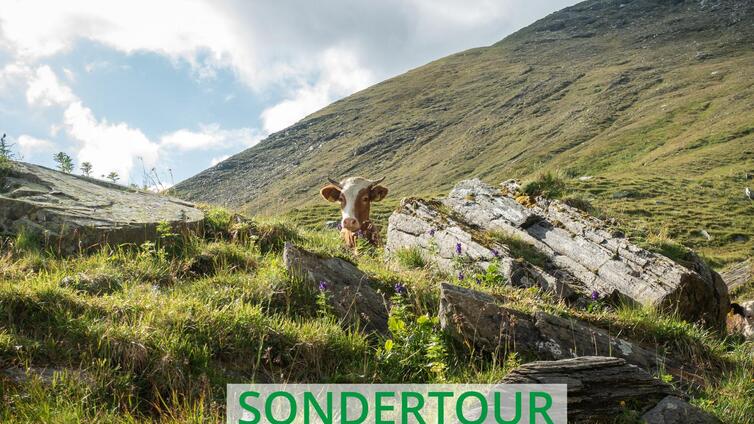 Überschreitung Kleetörl