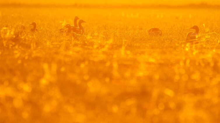 Mit dem Nationalpark in den Tag