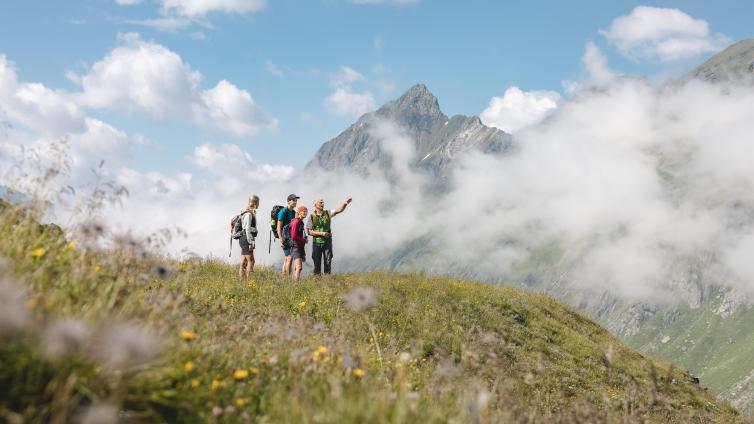 Artenreiche Bergwiesen - Vielfältiges Virgental