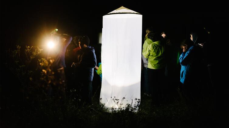 Der Nationalpark bei Nacht