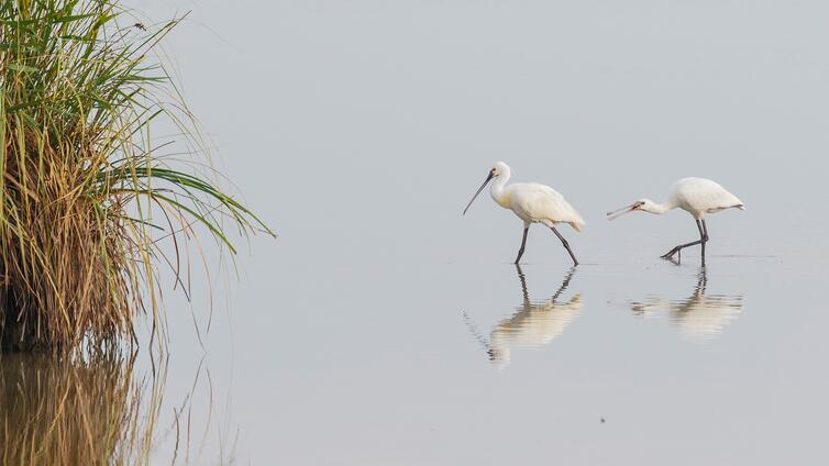 "Tag der Parke" - Familientour