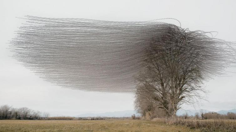 „Xavi Bou – Ornithographies“ © Siehe Veranstalter „Xavi Bou – Ornithographies“