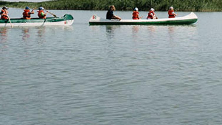 Ein Labyrinth aus Schilf: Kanutour am Neusiedler See