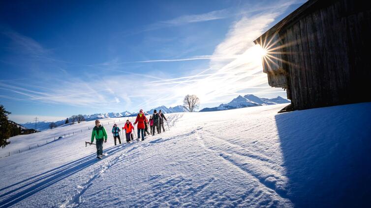 Wasenmoos - Ausblicke Hohe Tauern