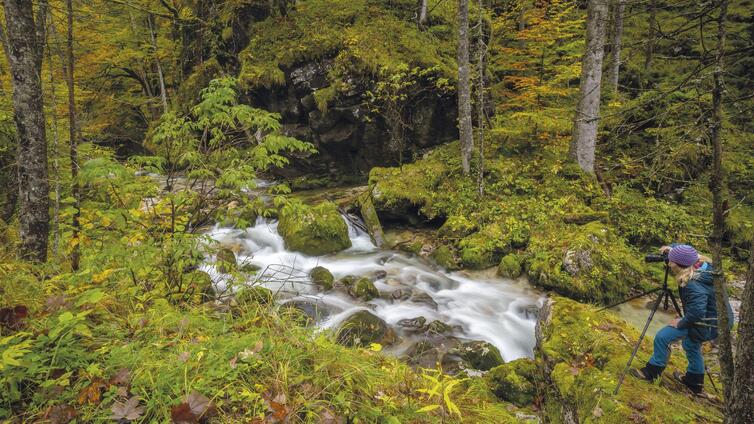 Wildes Wasser - Steiler Fels