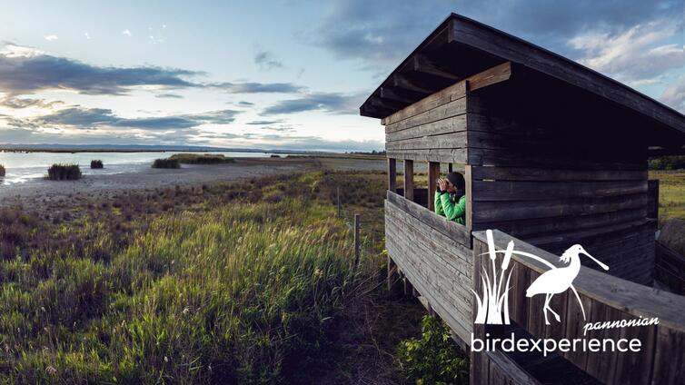 Birdwatching mit Zeiss & Club 300