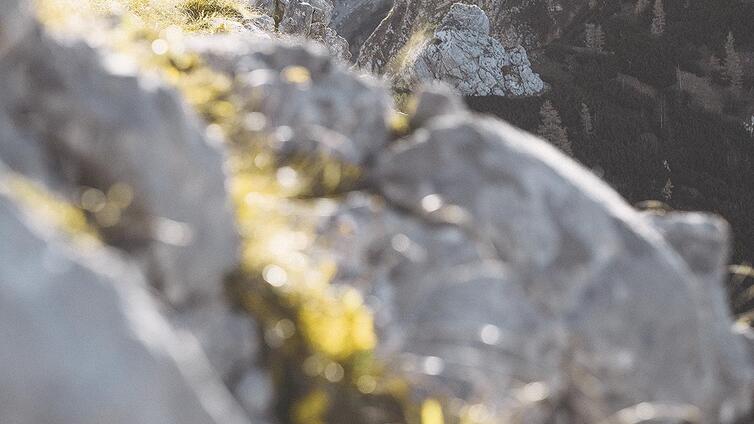 Alpin - Fotokurs auf der Hesshütte
