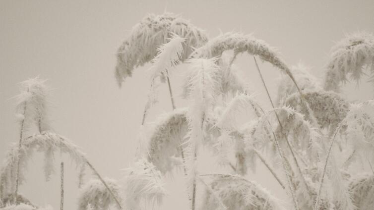 Winter im Nationalpark