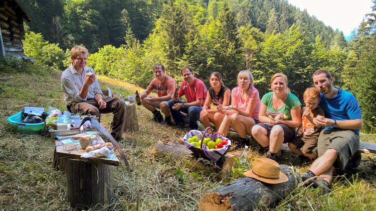 Bergwald, Heu & Wiesenblumen